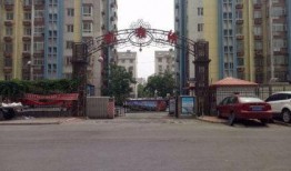 石家庄翰雅林爆料最新消息,揭秘背后惊人真相